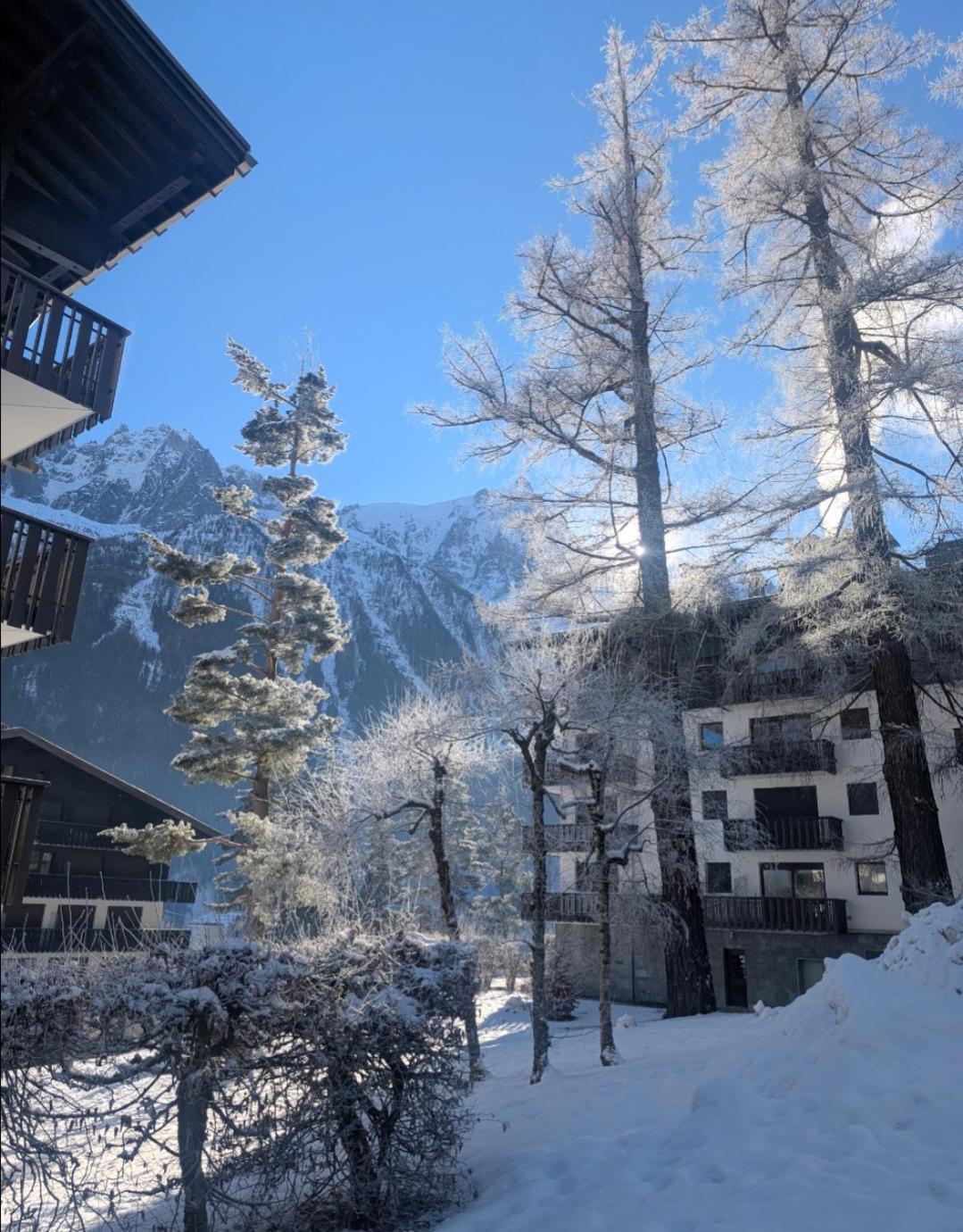 Appartement Au Petit Bois à Chamonix Extérieur photo